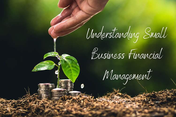 National Certificate Small Business Financial Management NQF4